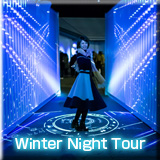 winter Night Tour