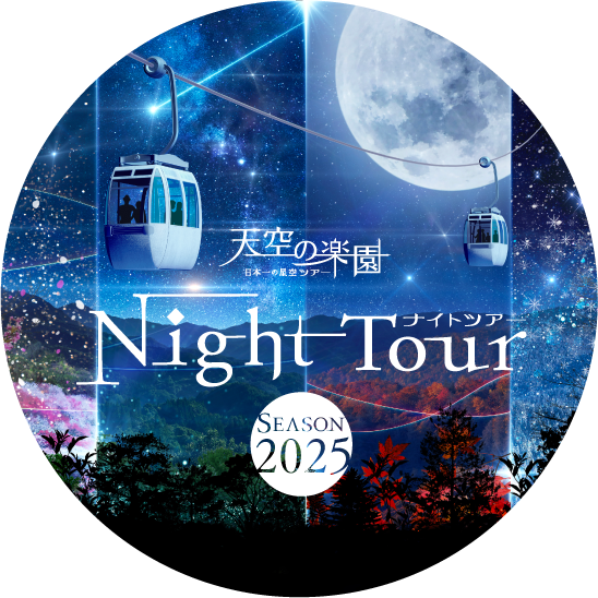 Night Tour