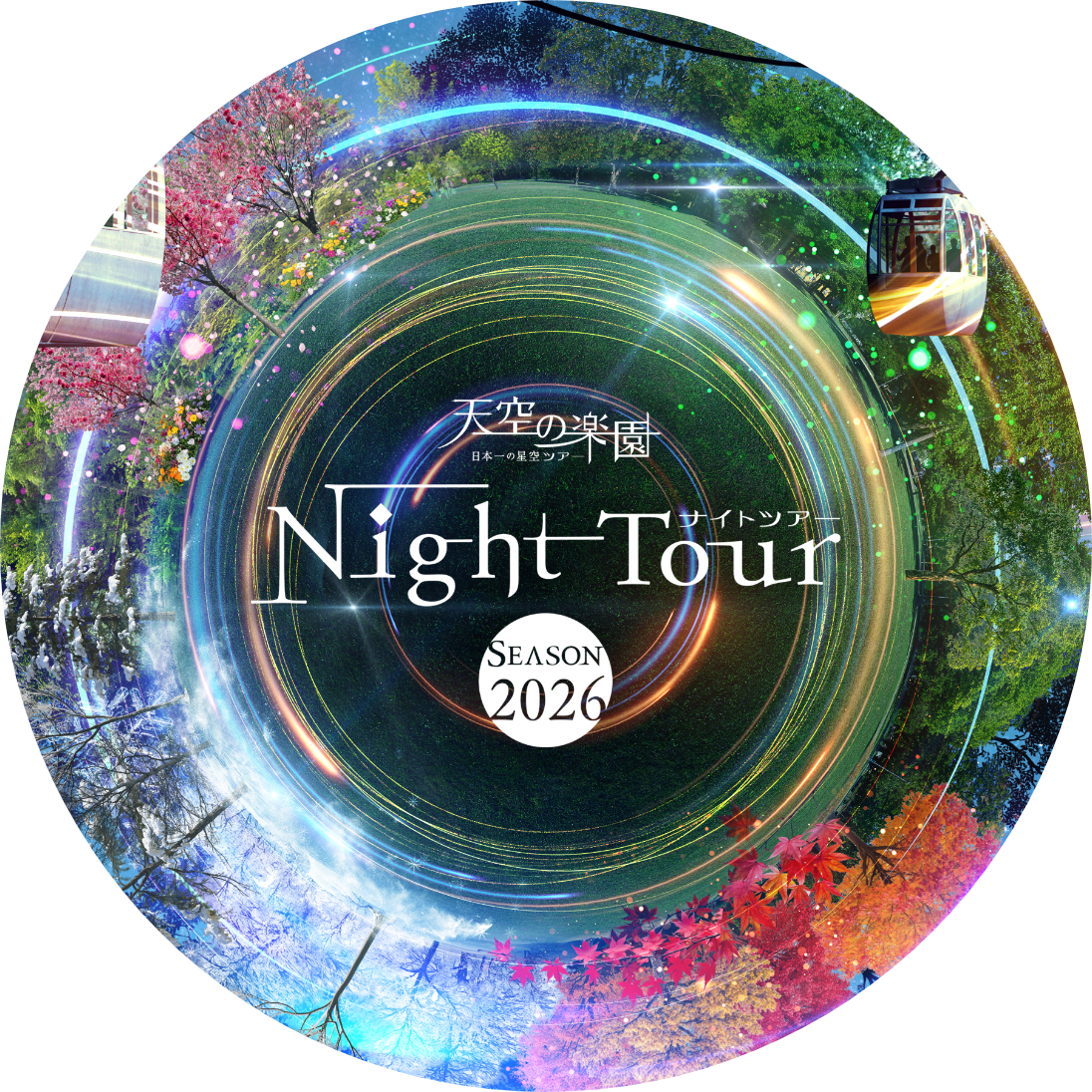 Night Tour