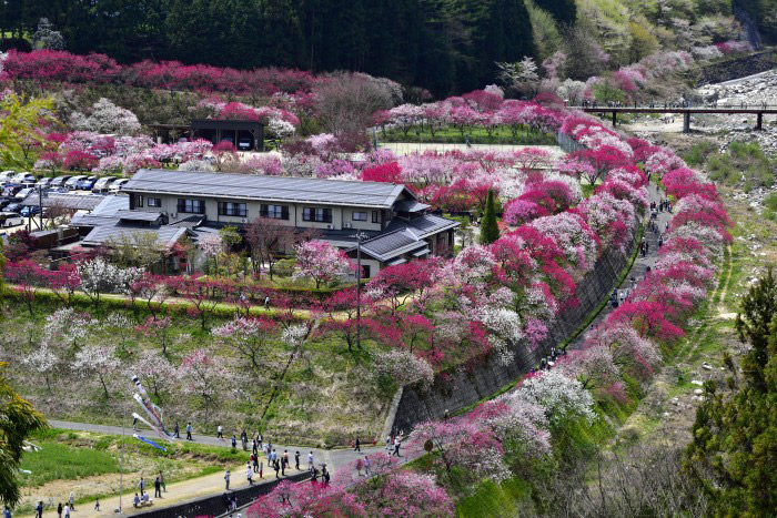 野熊の庄　月川